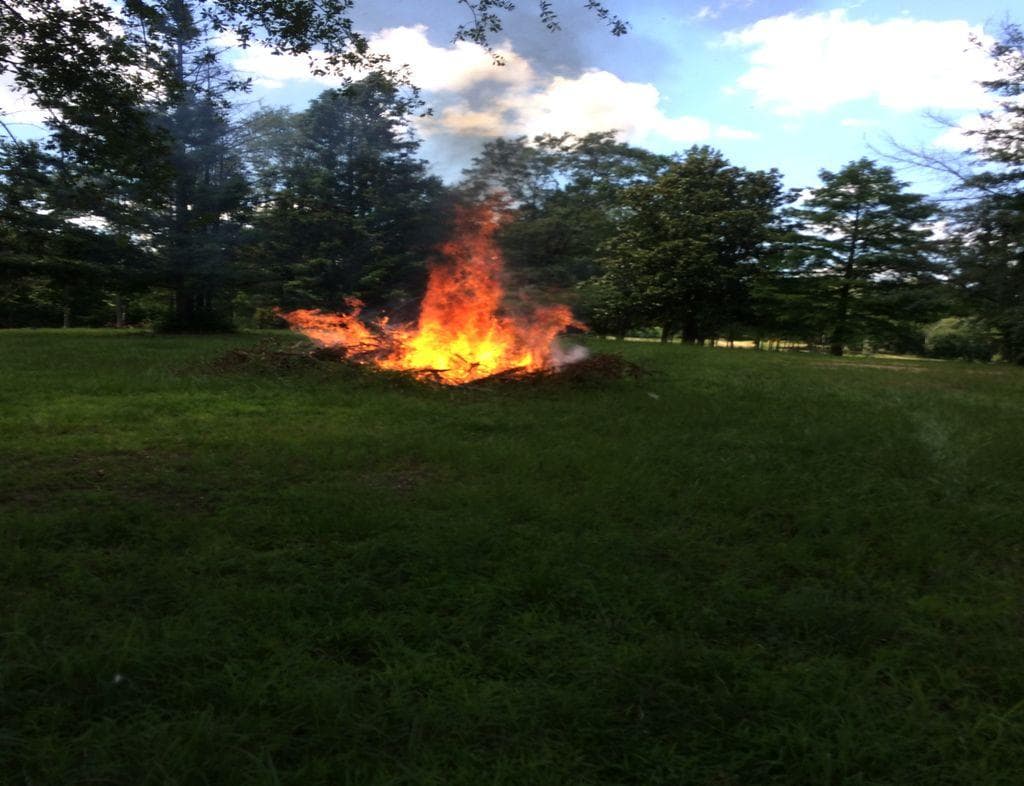 Prescribed Burns Pickens county