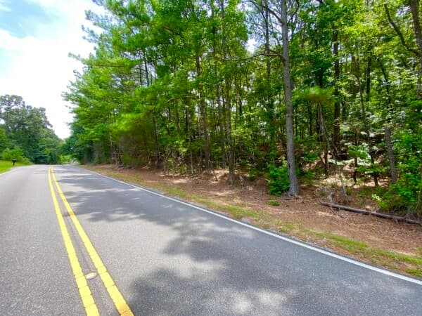 Coker: Mt. Olive Road - 22 ac. - Home Site & Hunting Tract