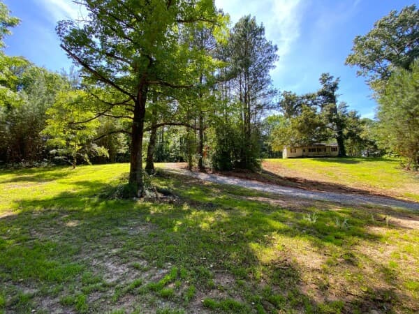 Hagler Coaling Road - Home Site & Hunting Tract