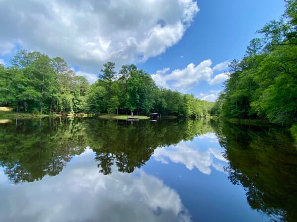 Northside: Turnkey - Hunting & Timber Tract w/ Cabin on Lake