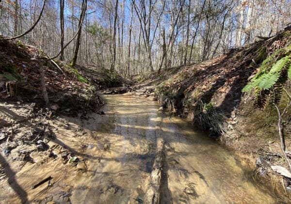 Sawyerville - Homestead & Hunting Tract